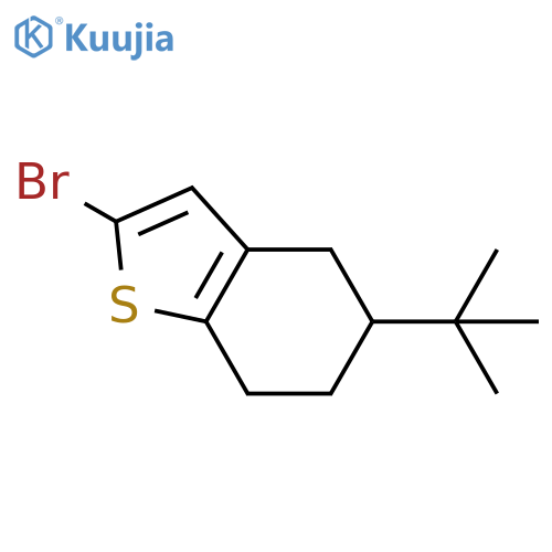 2-bromo-5-tert-butyl-4,5,6,7-tetrahydro-1-benzothiophene structure