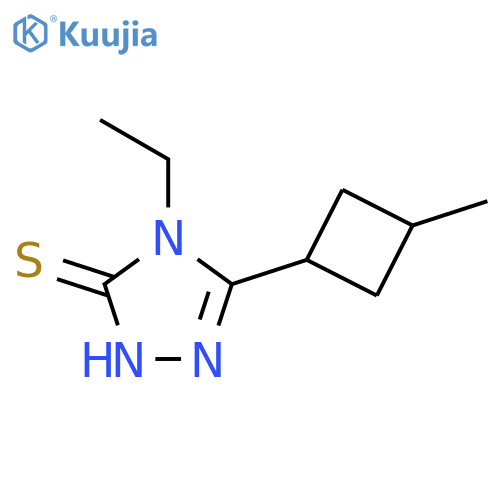 4-ethyl-5-(3-methylcyclobutyl)-4H-1,2,4-triazole-3-thiol structure