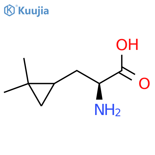 (2S)-2-amino-3-(2,2-dimethylcyclopropyl)propanoic acid structure