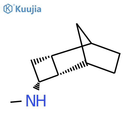 rac-(2R,3S,5S)-N-methyltricyclo[4.2.1.0,2,5]nonan-3-amine structure