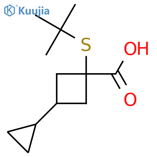 1-(tert-butylsulfanyl)-3-cyclopropylcyclobutane-1-carboxylic acid structure