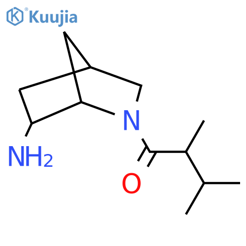 1-{6-Amino-2-azabicyclo[2.2.1]heptan-2-yl}-2,3-dimethylbutan-1-one structure