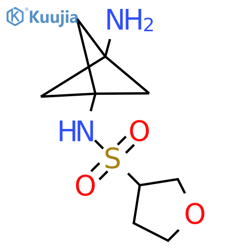 N-{3-aminobicyclo1.1.1pentan-1-yl}oxolane-3-sulfonamide structure
