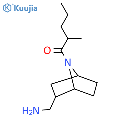 1-[2-(Aminomethyl)-7-azabicyclo[2.2.1]heptan-7-yl]-2-methylpentan-1-one structure