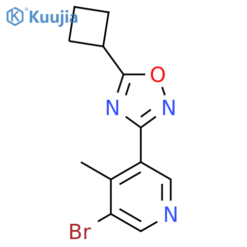 3-Bromo-5-(5-cyclobutyl-1,2,4-oxadiazol-3-yl)-4-methylpyridine structure