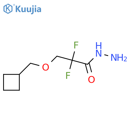 3-(Cyclobutylmethoxy)-2,2-difluoropropanehydrazide structure