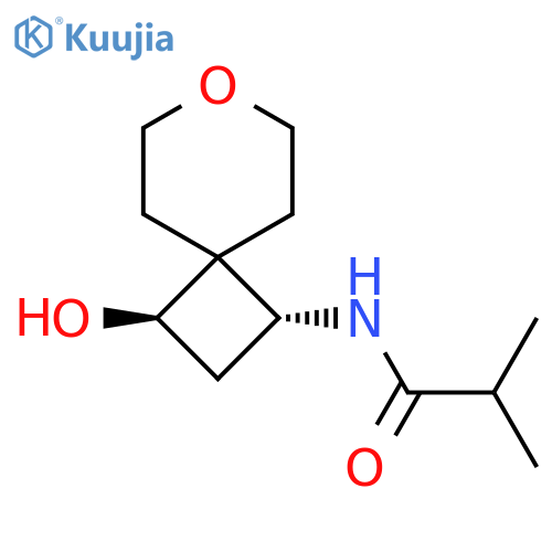 rac-N-[(1R,3R)-3-hydroxy-7-oxaspiro[3.5]nonan-1-yl]-2-methylpropanamide structure