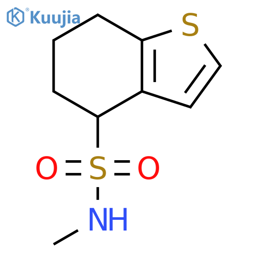 Benzo[b]thiophene-4-sulfonamide, 4,5,6,7-tetrahydro-N-methyl- structure
