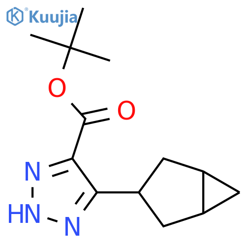 tert-butyl 5-{bicyclo[3.1.0]hexan-3-yl}-1H-1,2,3-triazole-4-carboxylate structure