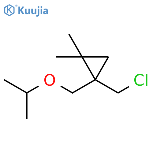Cyclopropane, 1-(chloromethyl)-2,2-dimethyl-1-[(1-methylethoxy)methyl]- structure