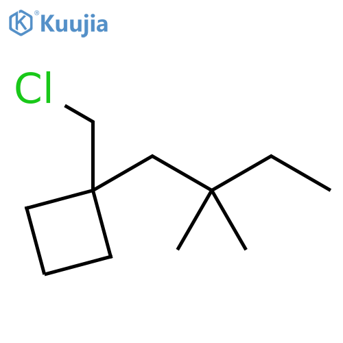 Cyclobutane, 1-(chloromethyl)-1-(2,2-dimethylbutyl)- structure