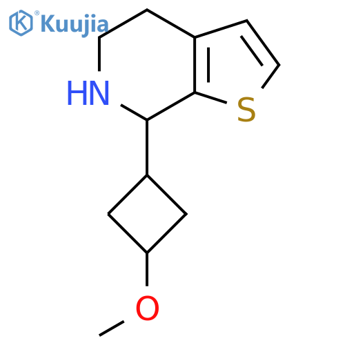 7-(3-methoxycyclobutyl)-4H,5H,6H,7H-thieno2,3-cpyridine structure