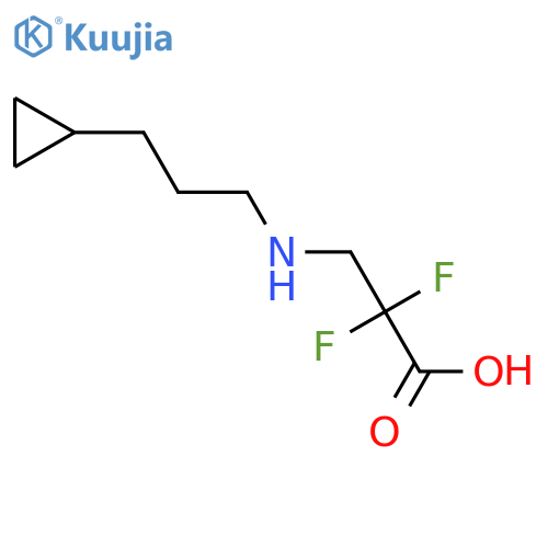 3-(3-Cyclopropylpropylamino)-2,2-difluoropropanoic acid structure
