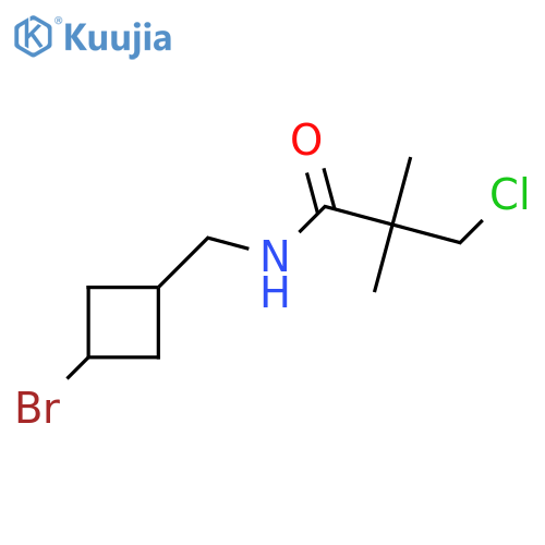 N-[(3-bromocyclobutyl)methyl]-3-chloro-2,2-dimethylpropanamide structure