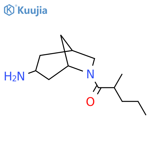 1-{3-Amino-6-azabicyclo[3.2.1]octan-6-yl}-2-methylpentan-1-one structure