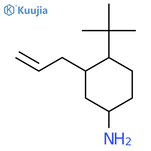 4-Tert-butyl-3-(prop-2-en-1-yl)cyclohexan-1-amine structure