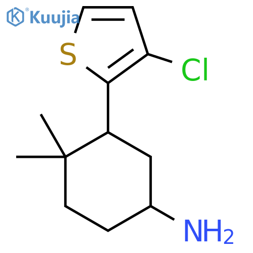 3-(3-Chlorothiophen-2-yl)-4,4-dimethylcyclohexan-1-amine structure