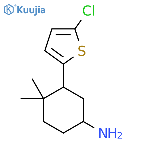 3-(5-Chlorothiophen-2-yl)-4,4-dimethylcyclohexan-1-amine structure