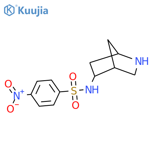 N-{2-azabicyclo2.2.1heptan-5-yl}-4-nitrobenzene-1-sulfonamide structure