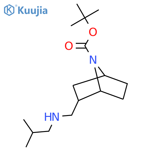 tert-butyl 2-{(2-methylpropyl)aminomethyl}-7-azabicyclo2.2.1heptane-7-carboxylate structure