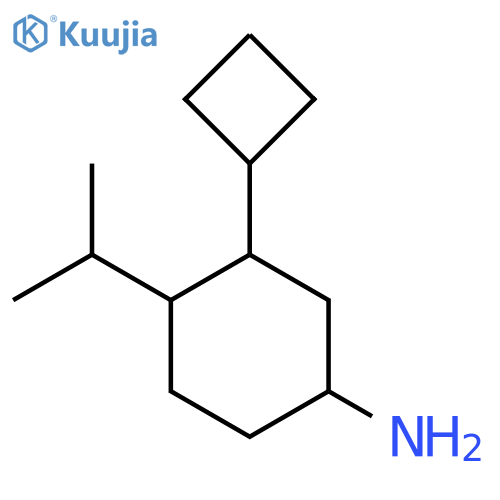 3-Cyclobutyl-4-(propan-2-yl)cyclohexan-1-amine structure