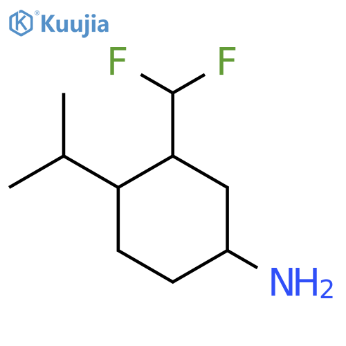 3-(Difluoromethyl)-4-(propan-2-yl)cyclohexan-1-amine structure