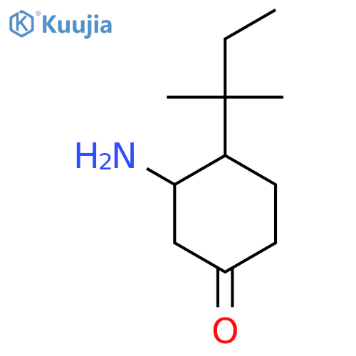 3-Amino-4-(2-methylbutan-2-yl)cyclohexan-1-one structure