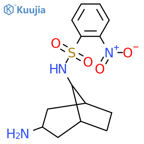 N-{3-aminobicyclo[3.2.1]octan-8-yl}-2-nitrobenzene-1-sulfonamide structure