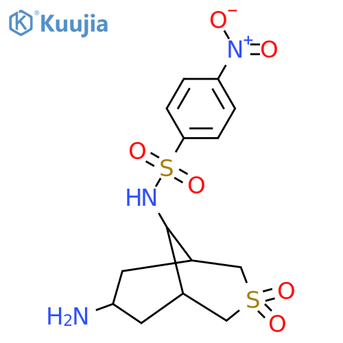 N-{7-amino-3,3-dioxo-3lambda6-thiabicyclo[3.3.1]nonan-9-yl}-4-nitrobenzene-1-sulfonamide structure