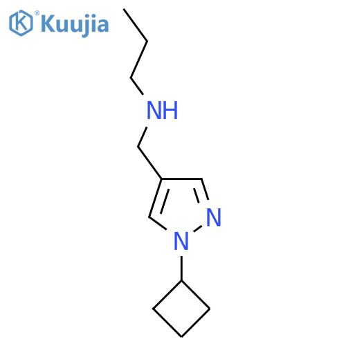 [(1-cyclobutyl-1H-pyrazol-4-yl)methyl](propyl)amine structure