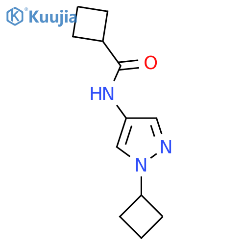 N-(1-cyclobutyl-1H-pyrazol-4-yl)cyclobutanecarboxamide structure