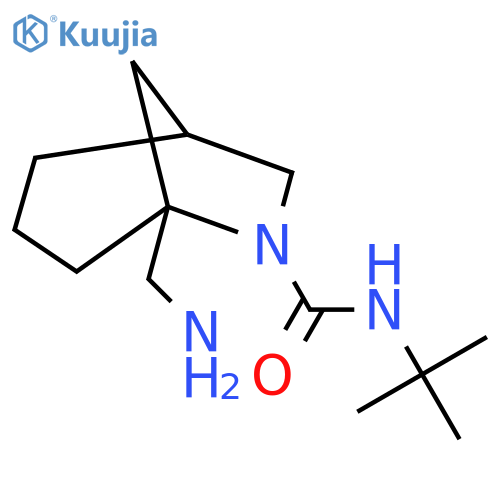 5-(aminomethyl)-N-tert-butyl-6-azabicyclo[3.2.1]octane-6-carboxamide structure