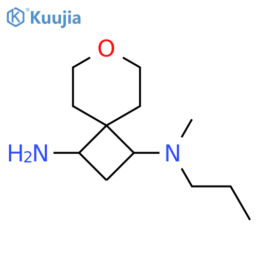 N1-methyl-N1-propyl-7-oxaspiro[3.5]nonane-1,3-diamine structure