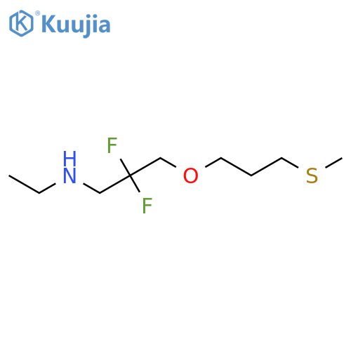 {2,2-Difluoro-3-[3-(methylsulfanyl)propoxy]propyl}(ethyl)amine structure