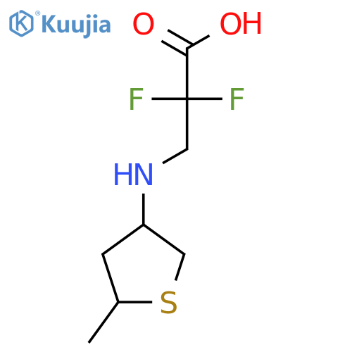 2,2-Difluoro-3-[(5-methylthiolan-3-yl)amino]propanoic acid structure