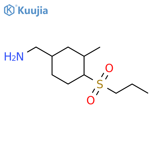 Cyclohexanemethanamine, 3-methyl-4-(propylsulfonyl)- structure