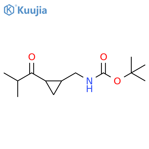 Carbamic acid, N-[[2-(2-methyl-1-oxopropyl)cyclopropyl]methyl]-, 1,1-dimethylethyl ester structure