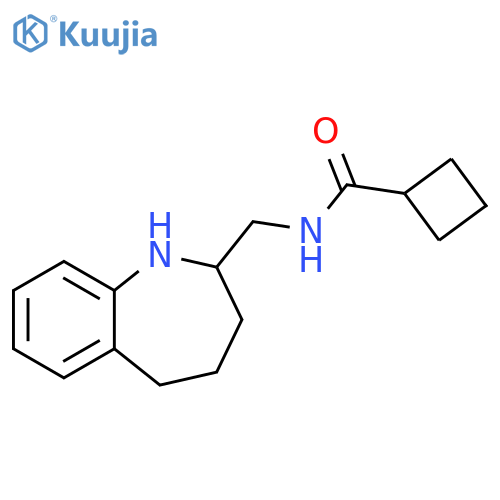 Cyclobutanecarboxamide, N-[(2,3,4,5-tetrahydro-1H-1-benzazepin-2-yl)methyl]- structure