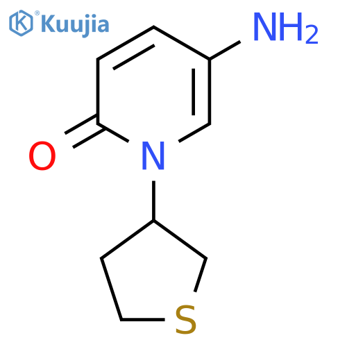 5-amino-1-(thiolan-3-yl)-1,2-dihydropyridin-2-one structure