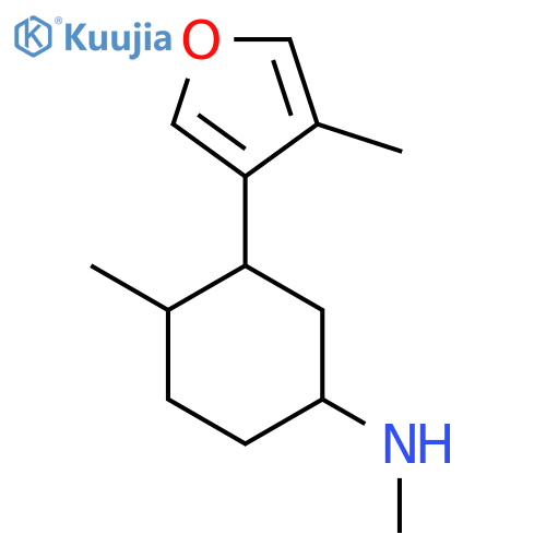 N,4-dimethyl-3-(4-methylfuran-3-yl)cyclohexan-1-amine structure