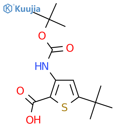 3-Tert-butoxycarbonylamino-5-tert-butylthiophene-2-carboxylic acid structure