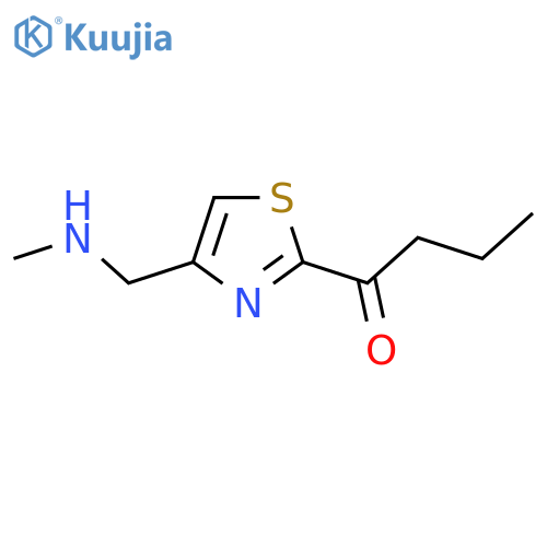 1-{4-(methylamino)methyl-1,3-thiazol-2-yl}butan-1-one structure