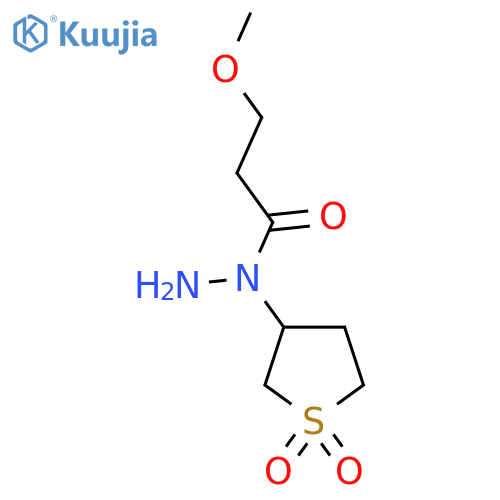 N-(1,1-dioxo-1lambda6-thiolan-3-yl)-3-methoxypropanehydrazide structure