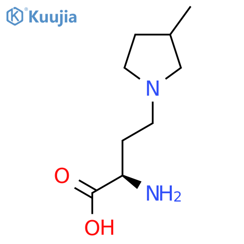 (2R)-2-amino-4-(3-methylpyrrolidin-1-yl)butanoic acid structure