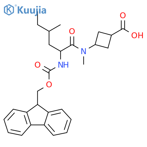 3-2-({(9H-fluoren-9-yl)methoxycarbonyl}amino)-N,4-dimethylhexanamidocyclobutane-1-carboxylic acid structure