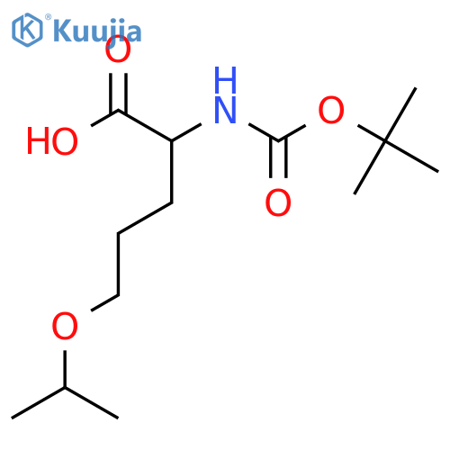 2-{(tert-butoxy)carbonylamino}-5-(propan-2-yloxy)pentanoic acid structure