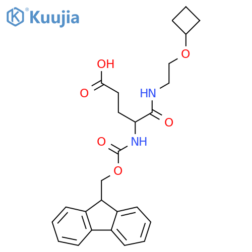 4-(2-cyclobutoxyethyl)carbamoyl-4-({(9H-fluoren-9-yl)methoxycarbonyl}amino)butanoic acid structure