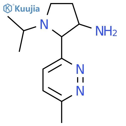 2-(6-methylpyridazin-3-yl)-1-(propan-2-yl)pyrrolidin-3-amine structure