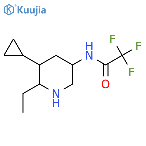 N-(5-cyclopropyl-6-ethylpiperidin-3-yl)-2,2,2-trifluoroacetamide structure