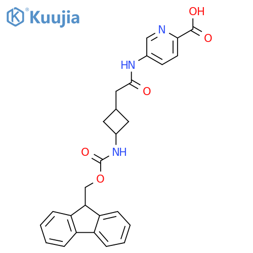 5-{2-3-({(9H-fluoren-9-yl)methoxycarbonyl}amino)cyclobutylacetamido}pyridine-2-carboxylic acid structure